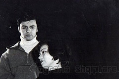 FLAKET-1981