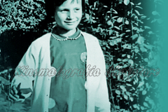 vlcsnap-2020-04-24-19h06m01s958