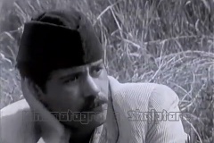 Zef-Bushati