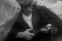 18222361_1431056403620890_398162542549617816_n