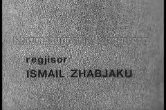 12805910_1056049314454936_722644248167605978_n