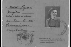 identifikim-i-marijes-edhe-si-kengetare