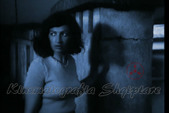 Snapshot-1-3-8-2020-7-29-PM