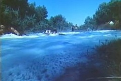 273002262_306995148132028_6588411443092003062_n