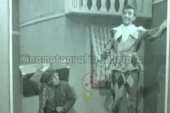 1959dy-binjaket-e-goldonit