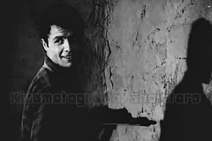 201631328_844286539514059_6618587230235224086_n