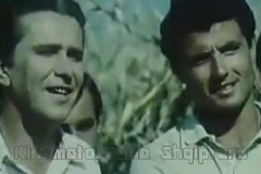 203155937_1412359852466247_2114708015462367252_n