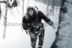 vlcsnap-2020-03-31-23h57m23s755