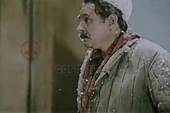 vlcsnap-2021-07-12-21h33m26s545