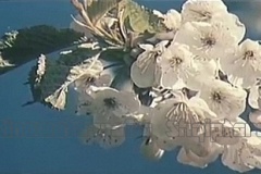 vlcsnap-2021-11-04-22h23m04s110