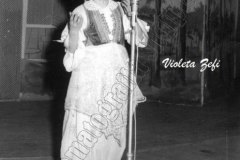 8-vjece-deputimet-e-para-nev.-1968